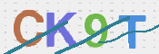 Imagen CAPTCHA